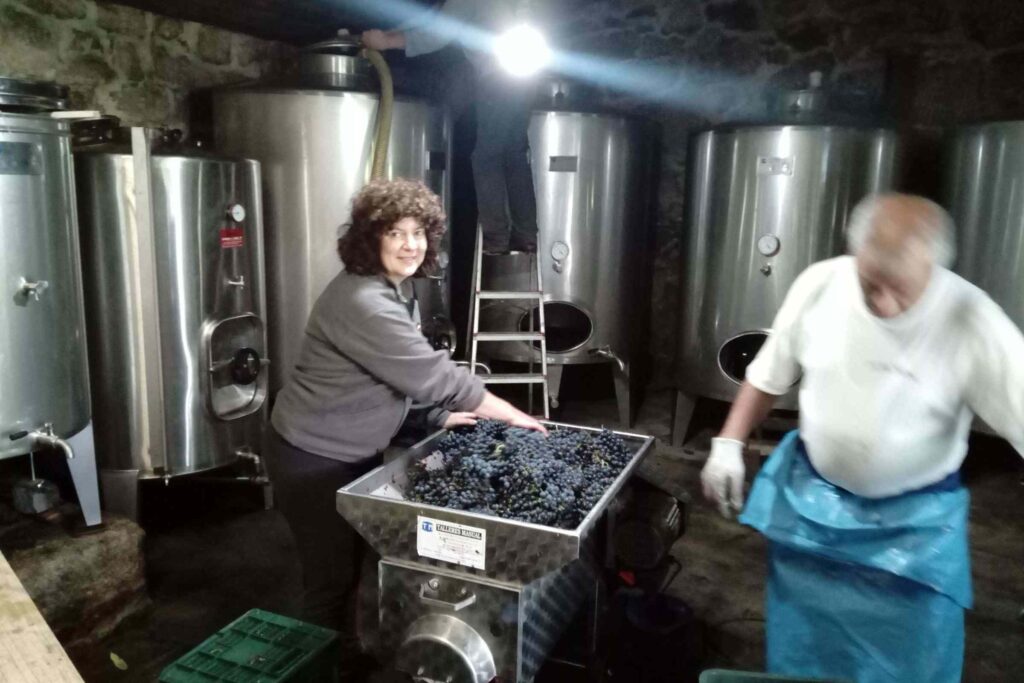 adega-gozo-cabecera-12 - copia