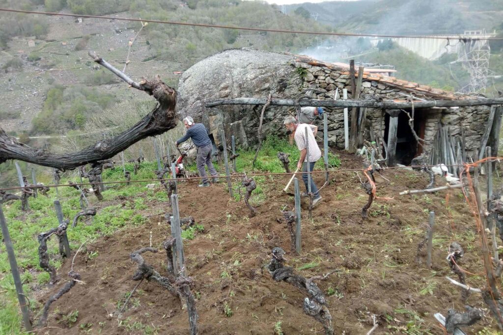 adega-gozo-cabecera-13 - copia