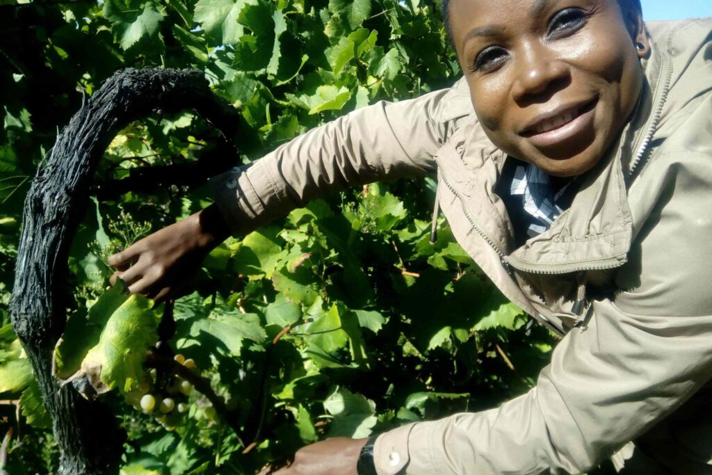 adega-gozo-cabecera-19 - copia